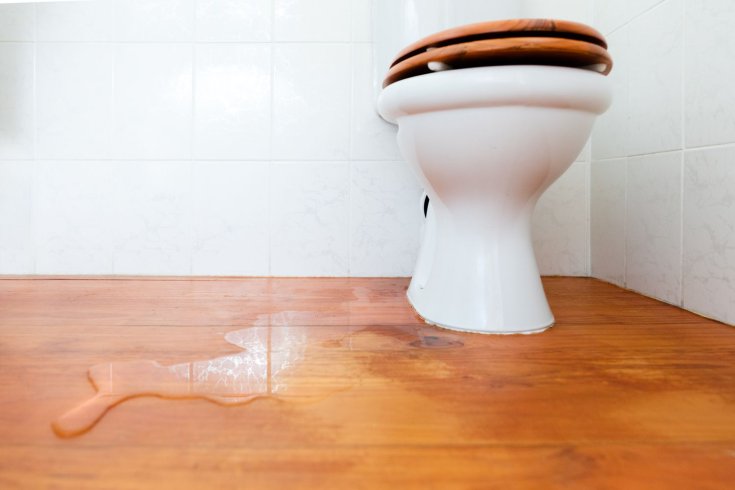 Common Toilet Plumbing Issues and How to Fix Them